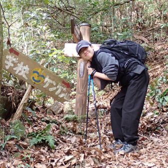 手作り標識に癒されます