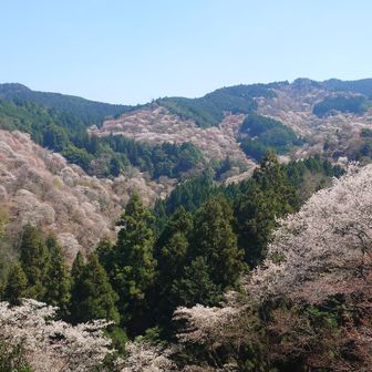 いやー来てよかった