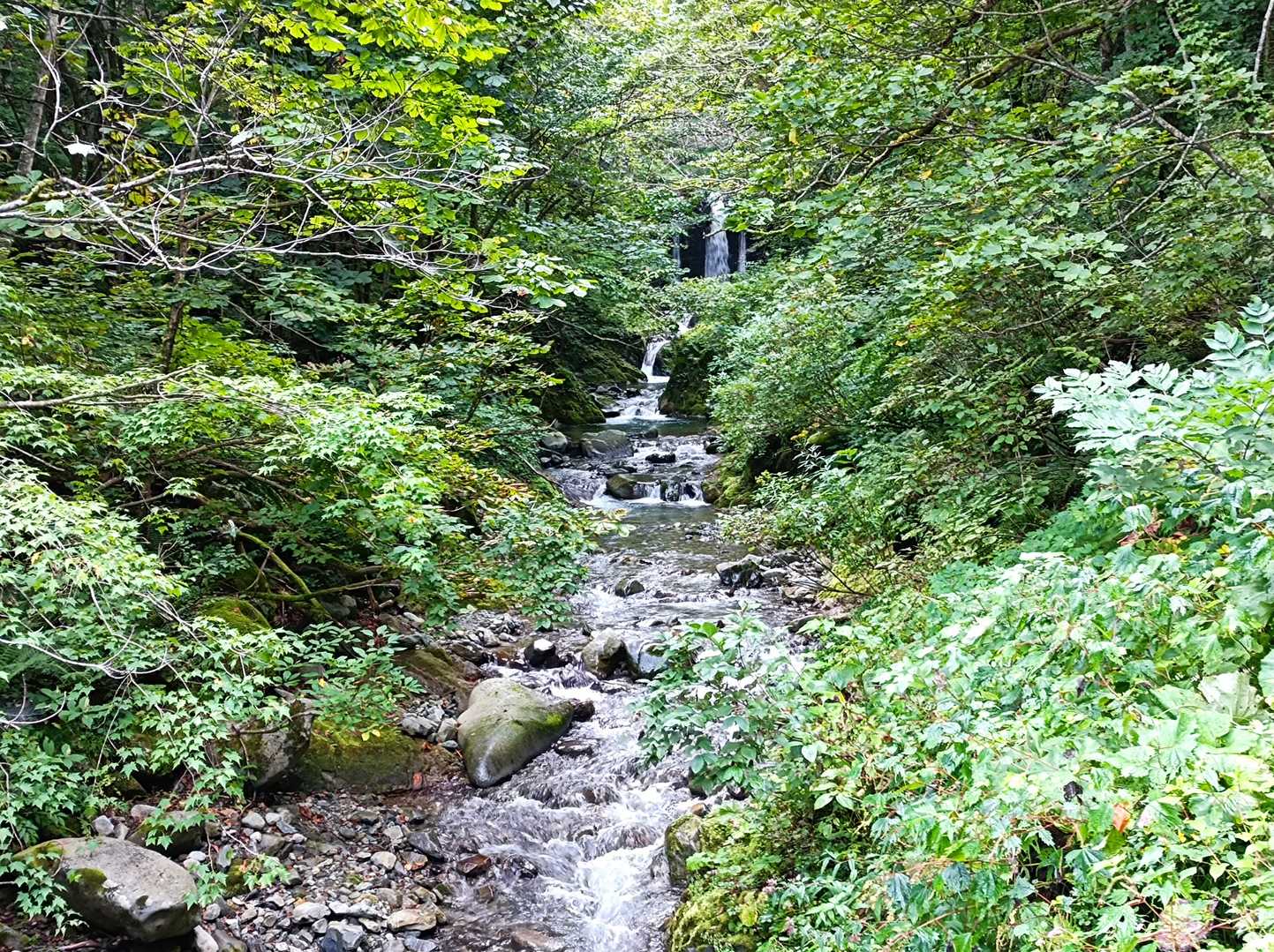 早池峰山の門馬コースっぽい。