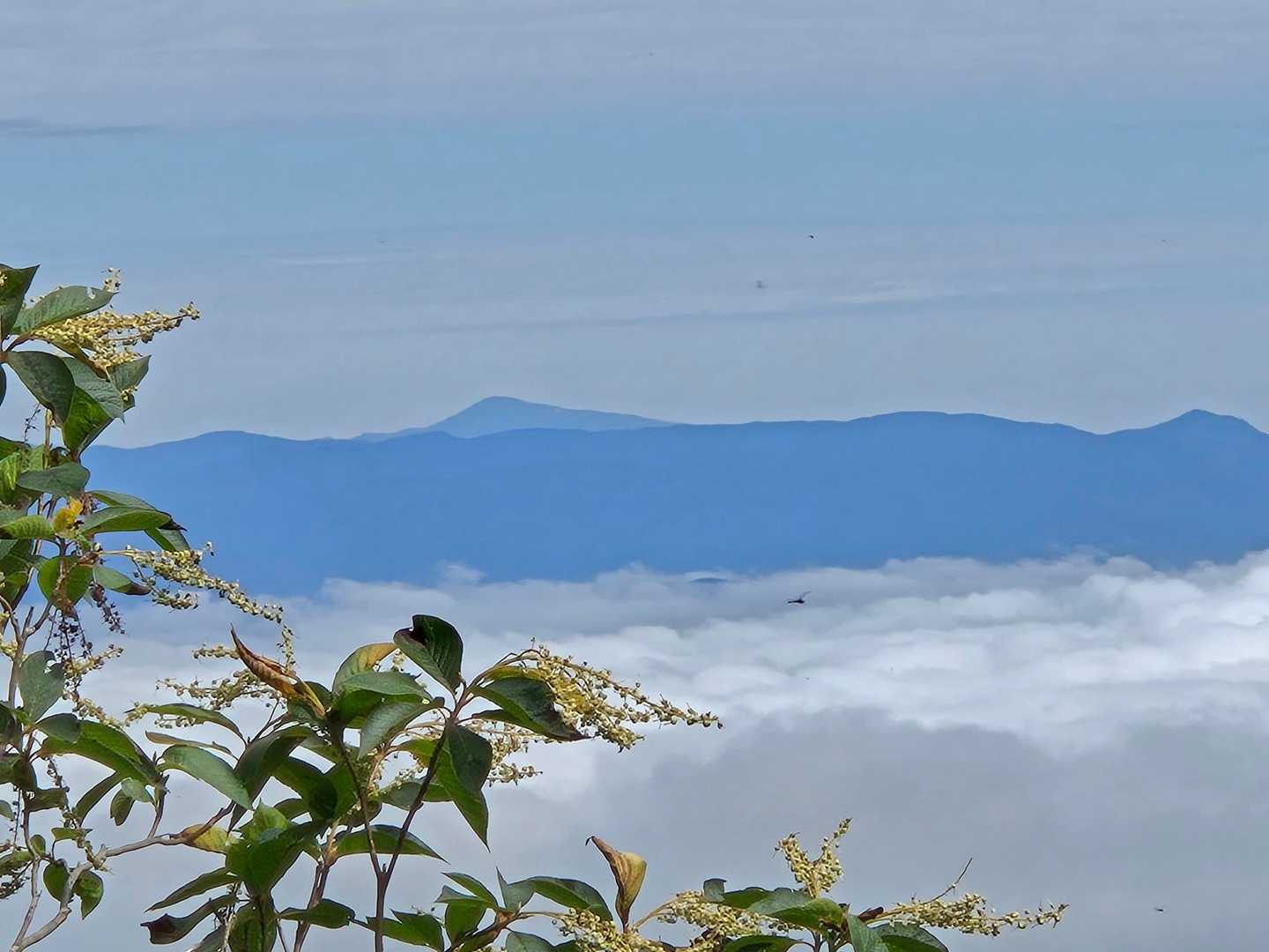 うわーっ❗
月山。