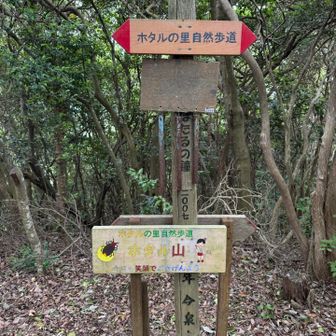 ホタル山
ホタルで有名なご当地らしいお山の名前です🤔