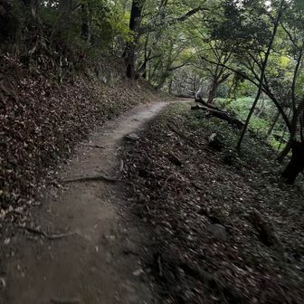 登山道もわかりやすく歩きやすいです