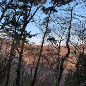 夕焼けした丹沢