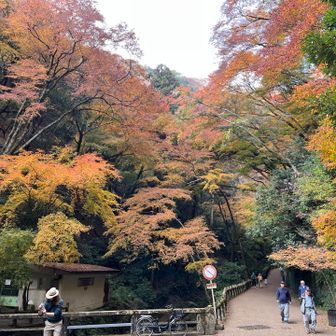 まぁ、夫をほったらかし過ぎるので、これも天罰なのかも？😭おろろん〜