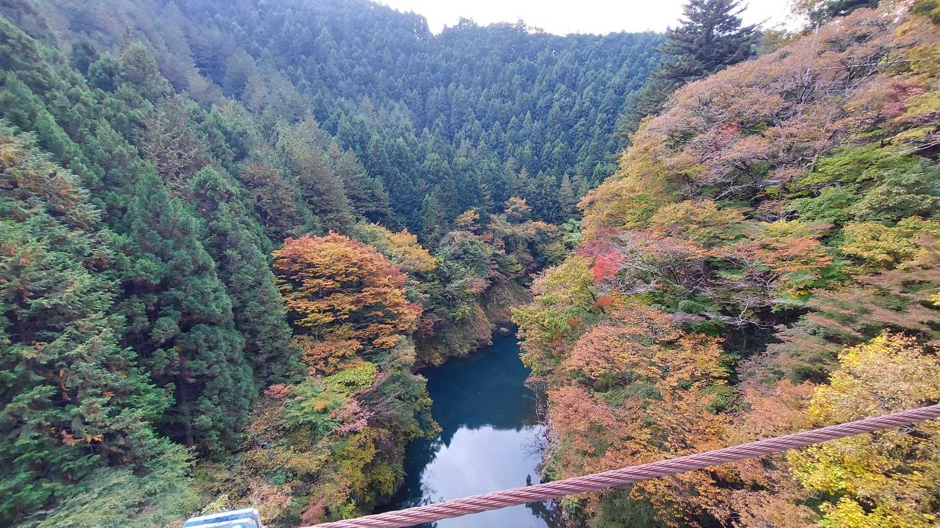 でもこの絶景😆