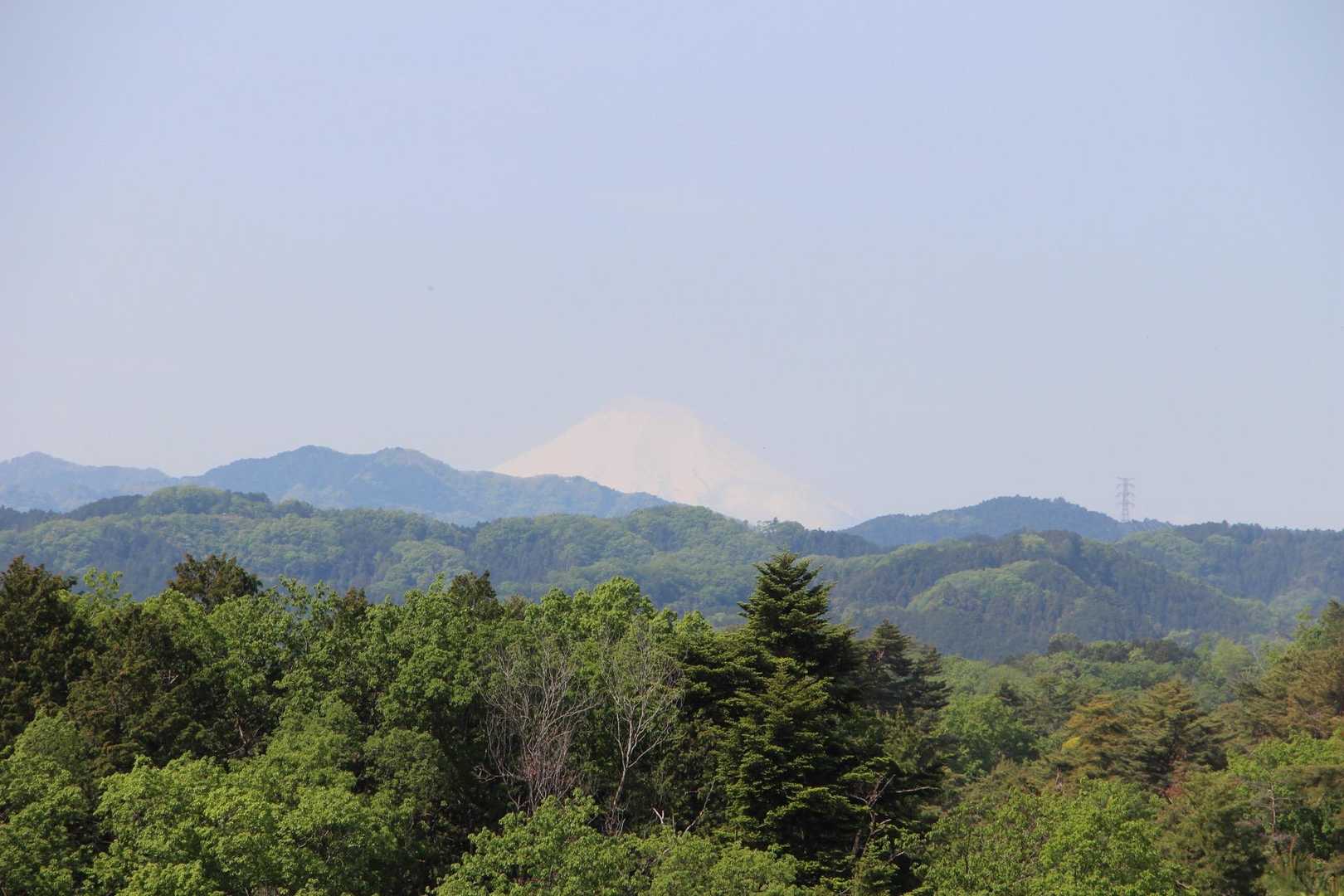 ツツジで夢中になっていたら富士山🗻が見える！