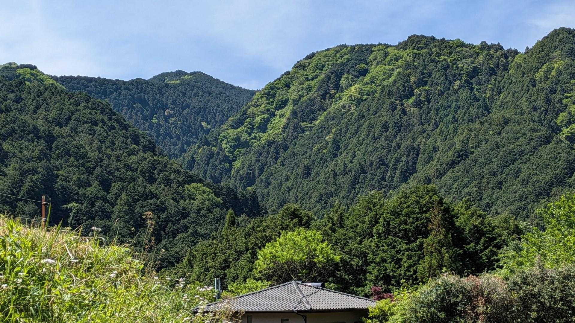 金剛山方面