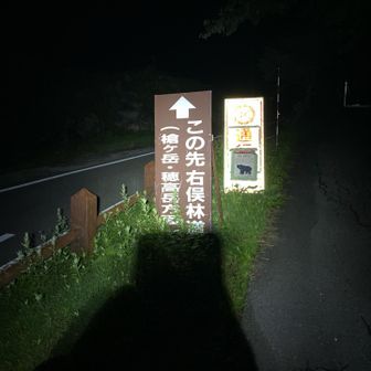 3時前から活動