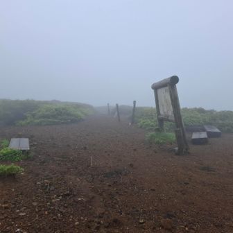湯森山の分岐