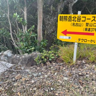 初めてのルートにワクワク☺️