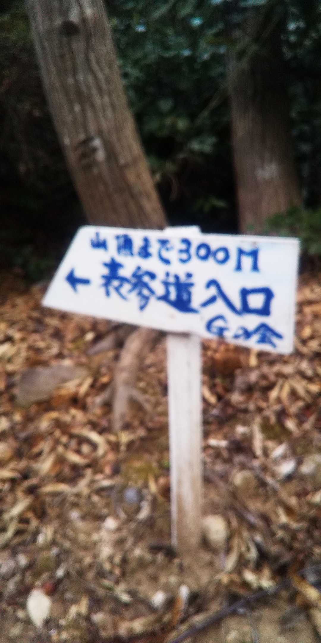 去年も悩んだGの会のGは何？

郷ひろみ🕺、ゴキブリ🦗、ゴリラ🦍、ゴッホ🎨…多分どれも違う😅