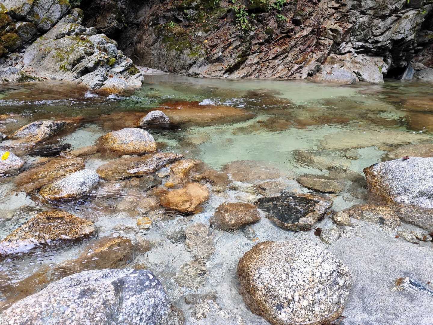 白州ウィスキーが美味いのはこの綺麗な水のおかげか