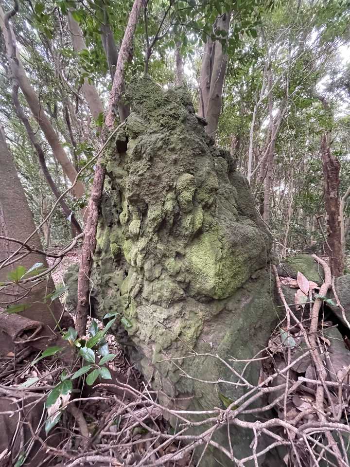 溶結凝灰岩というらしい
平郡島は火山の隆起でできた島なのです