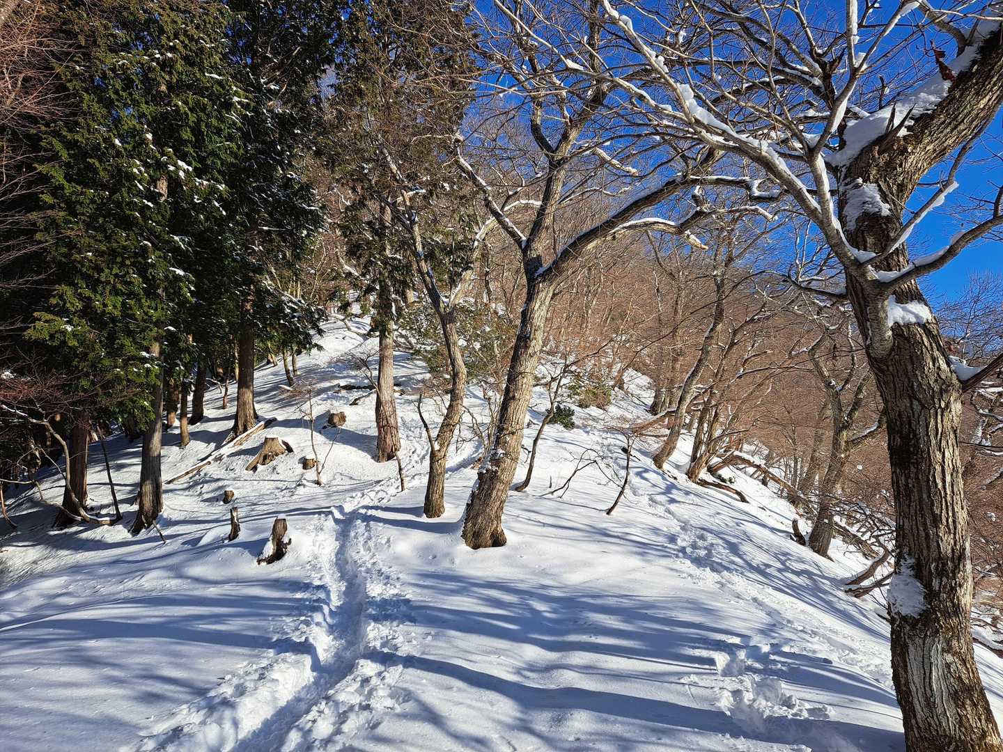 さぁ、急登だ❗