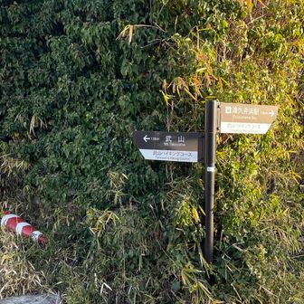 武山いきまーす！