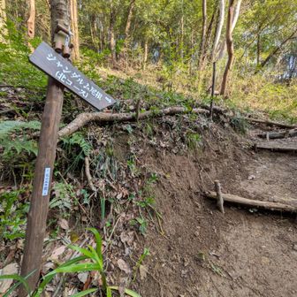 ジャンダルム尾根開始!!