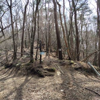 分岐。
右に護摩壇山からの道を迎え、真ん中は頂上への直登。
小屋のある伯母子峠へは左へ🚶‍♀️🎶。