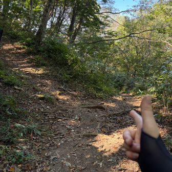 分岐まで降りてきました
まっすぐ降りていきます