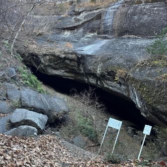 でかい。写真では伝わらないな