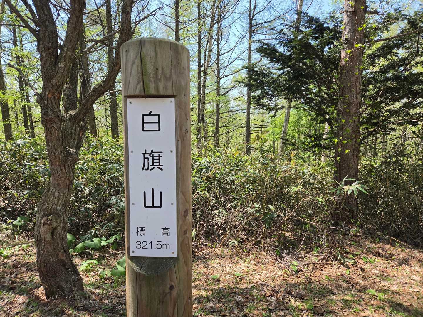 とりあえず山頂