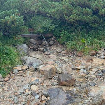 三俣蓮華岳キャンプ場の水場は登山道の直ぐ近く