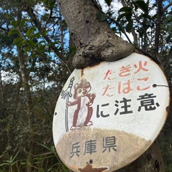看板くわえてる🌲😱　
