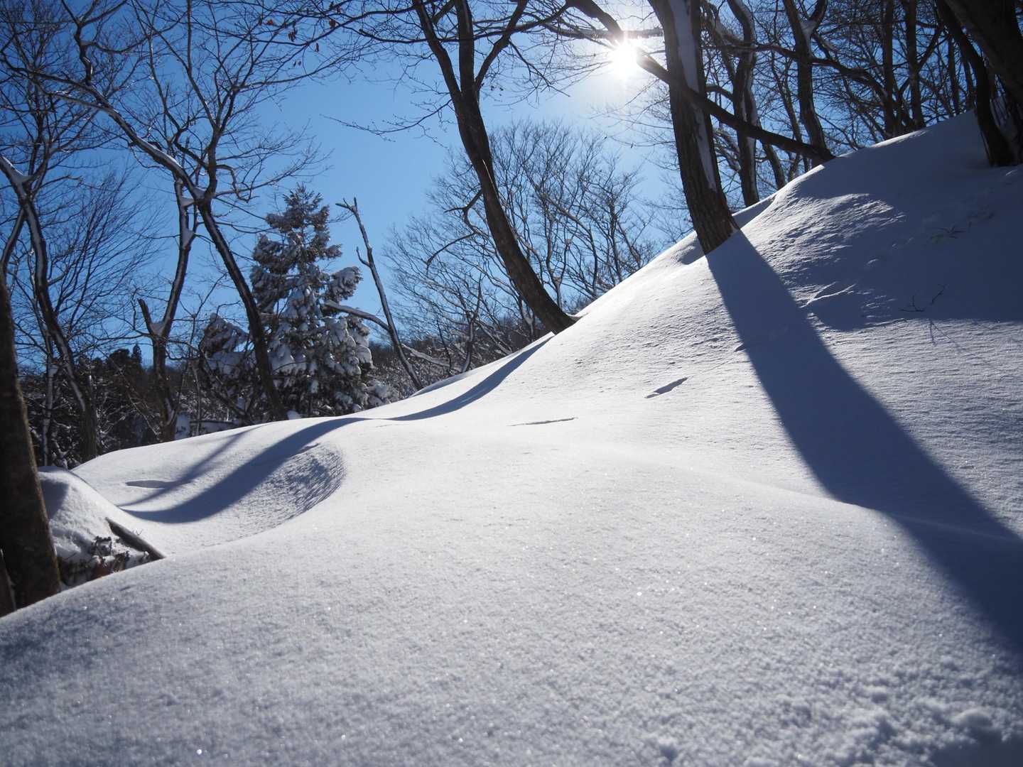 畑バス停-横谷峠-荒谷峠-須川峠-滝谷ノ頭-蛇谷ヶ峰 縦走コースの写真