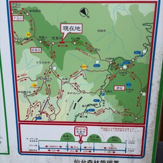 途中の案内板。コースがたくさん