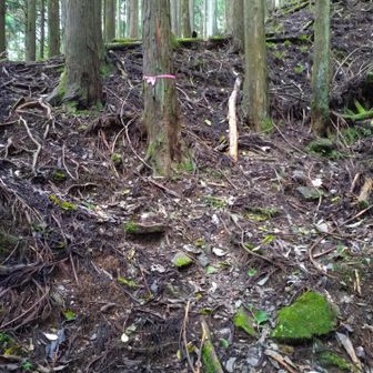 木梶山登山口まで戻ってきました。ピンクテープがある左の斜面を登るのが正解でした。