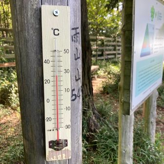 雨山山山頂は31℃