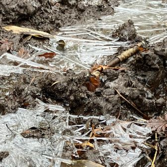 氷張ってました🧊