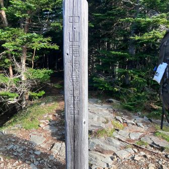 中山尾根展望台