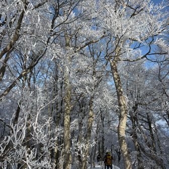 かえりまーす！
