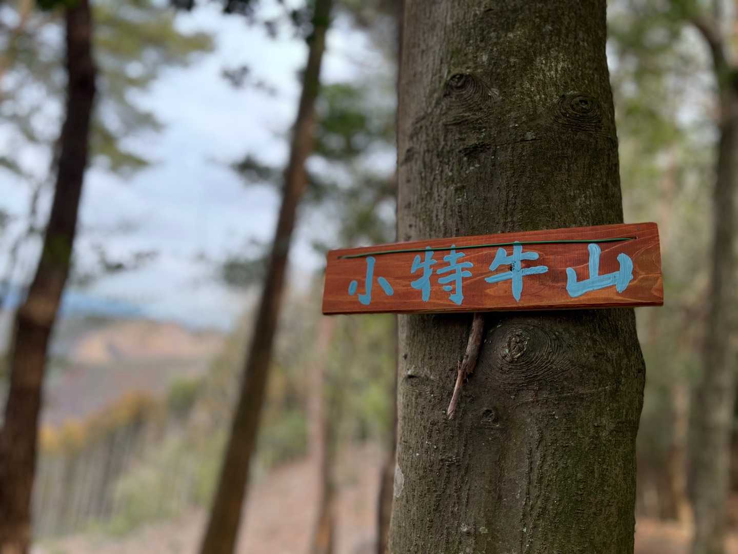 小特牛山