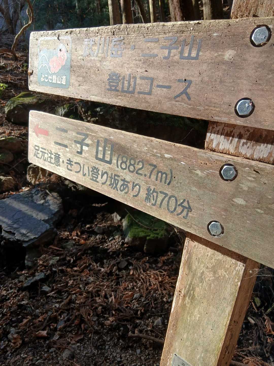 分岐