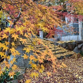 ここから少し歩いて阪急バスに乗り
夙川駅まで帰りました😊