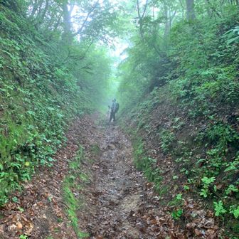 山登りこうちゃん。🗻6年生🗻