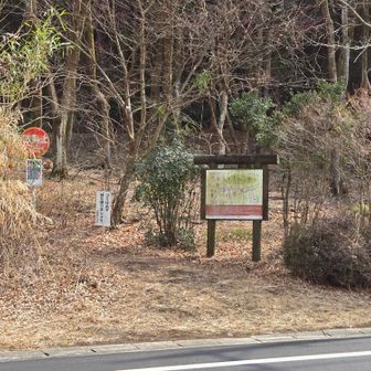 入山したところに戻ってきました