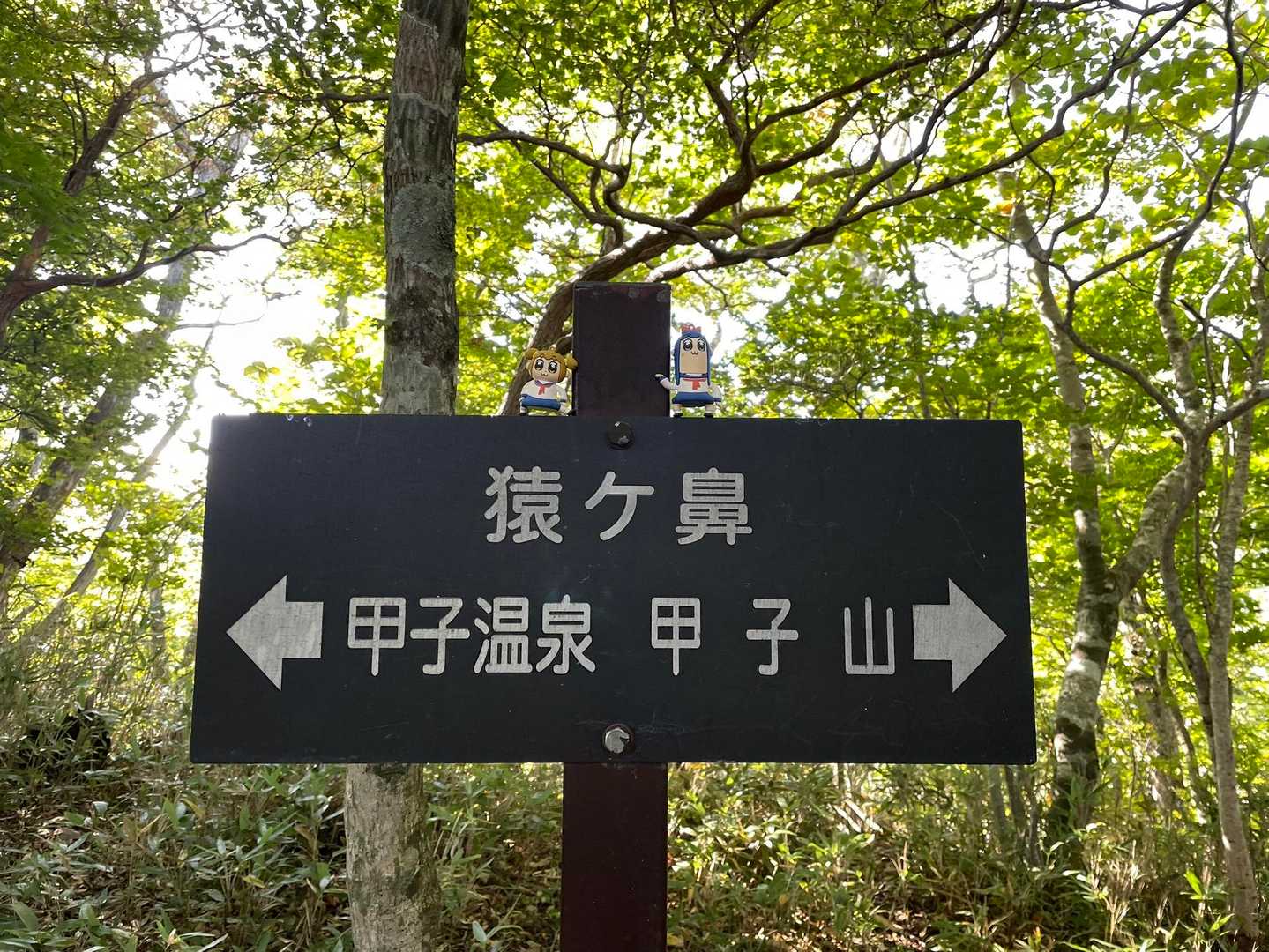 このタイプの看板でポプピピ乗せれたのがここだけでした。一回落として泥だらけになった。