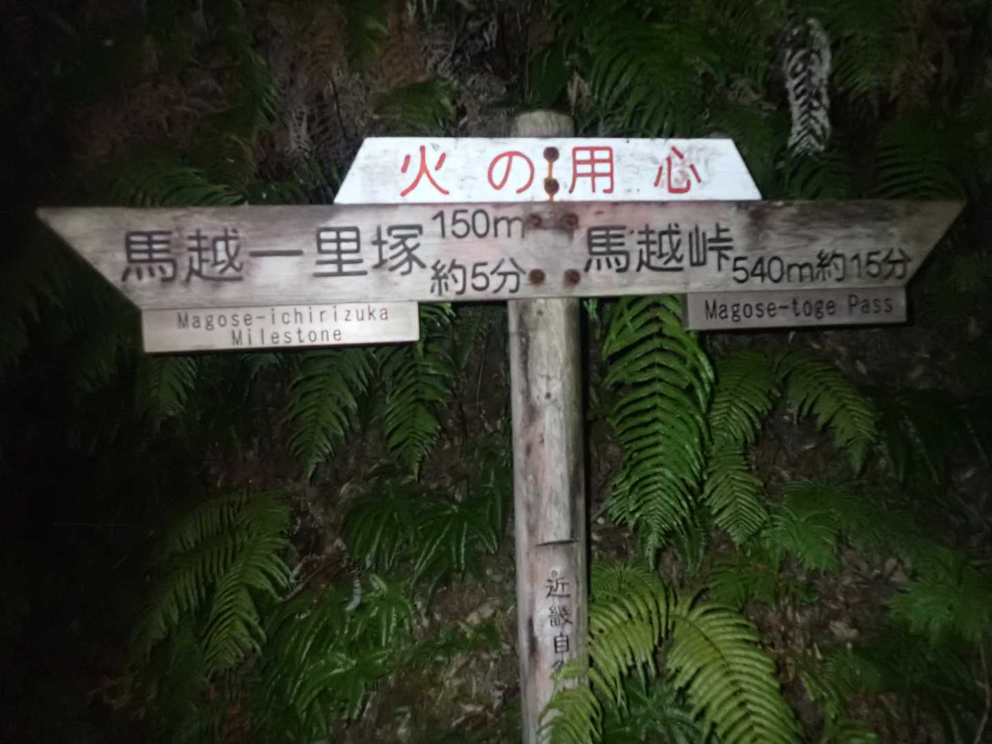 稜線までもう少しかな