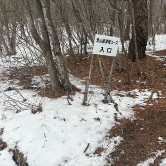 滑降コースから！