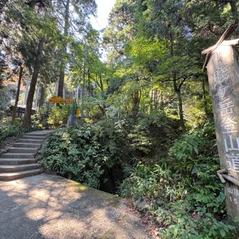 明るいいい感じの登山口