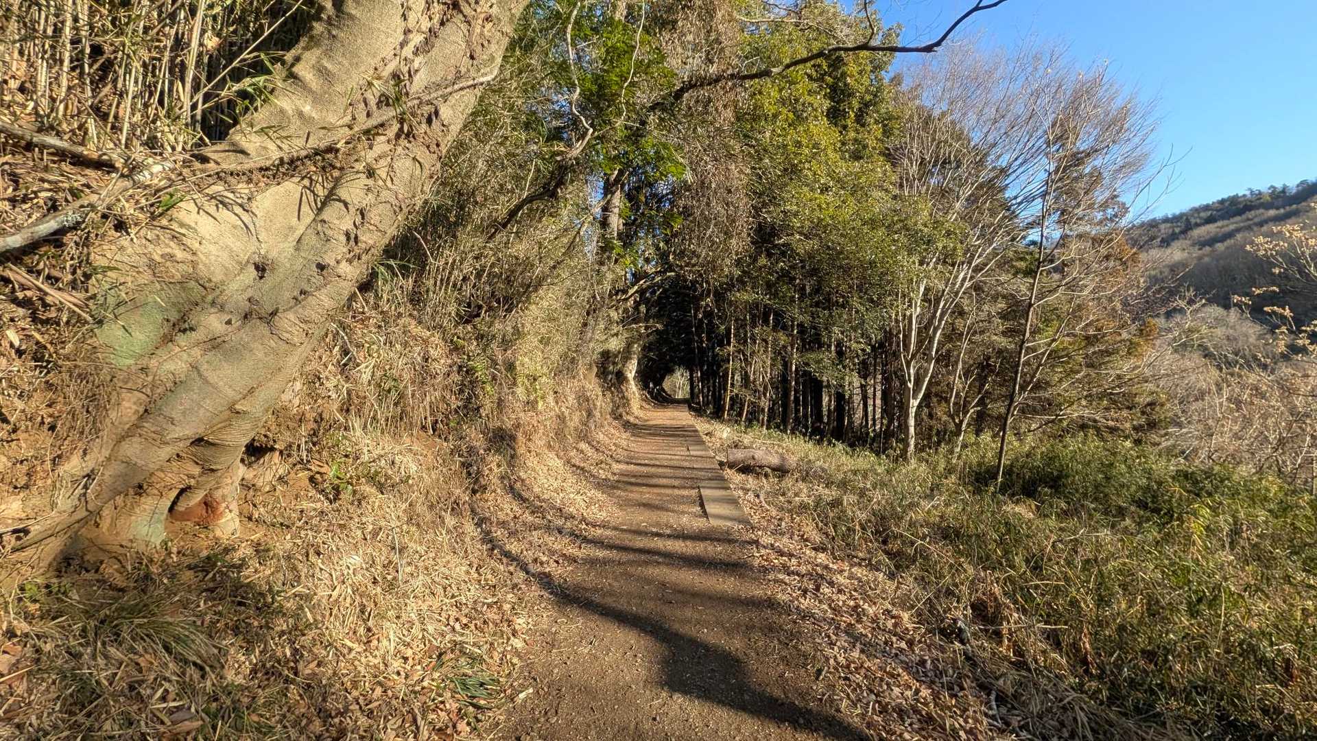 藤野駅-藤野総合事務所前バス停-鷹取山登山口-岩戸山-小渕 縦走コースの写真