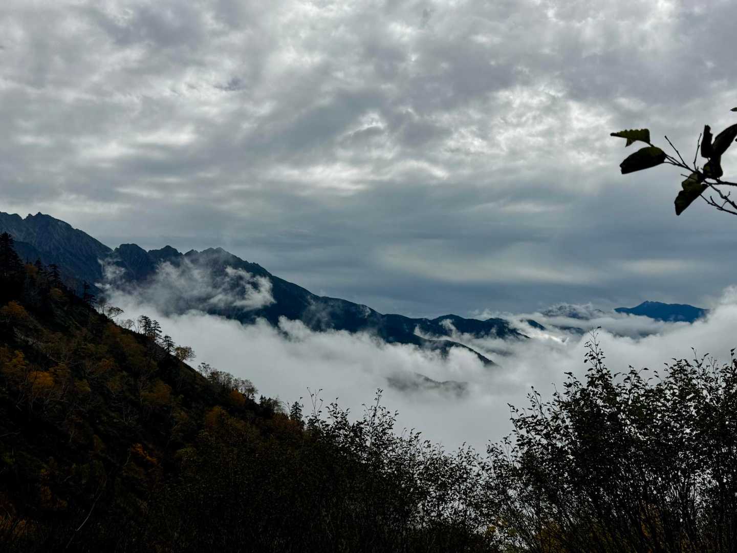 雲海です