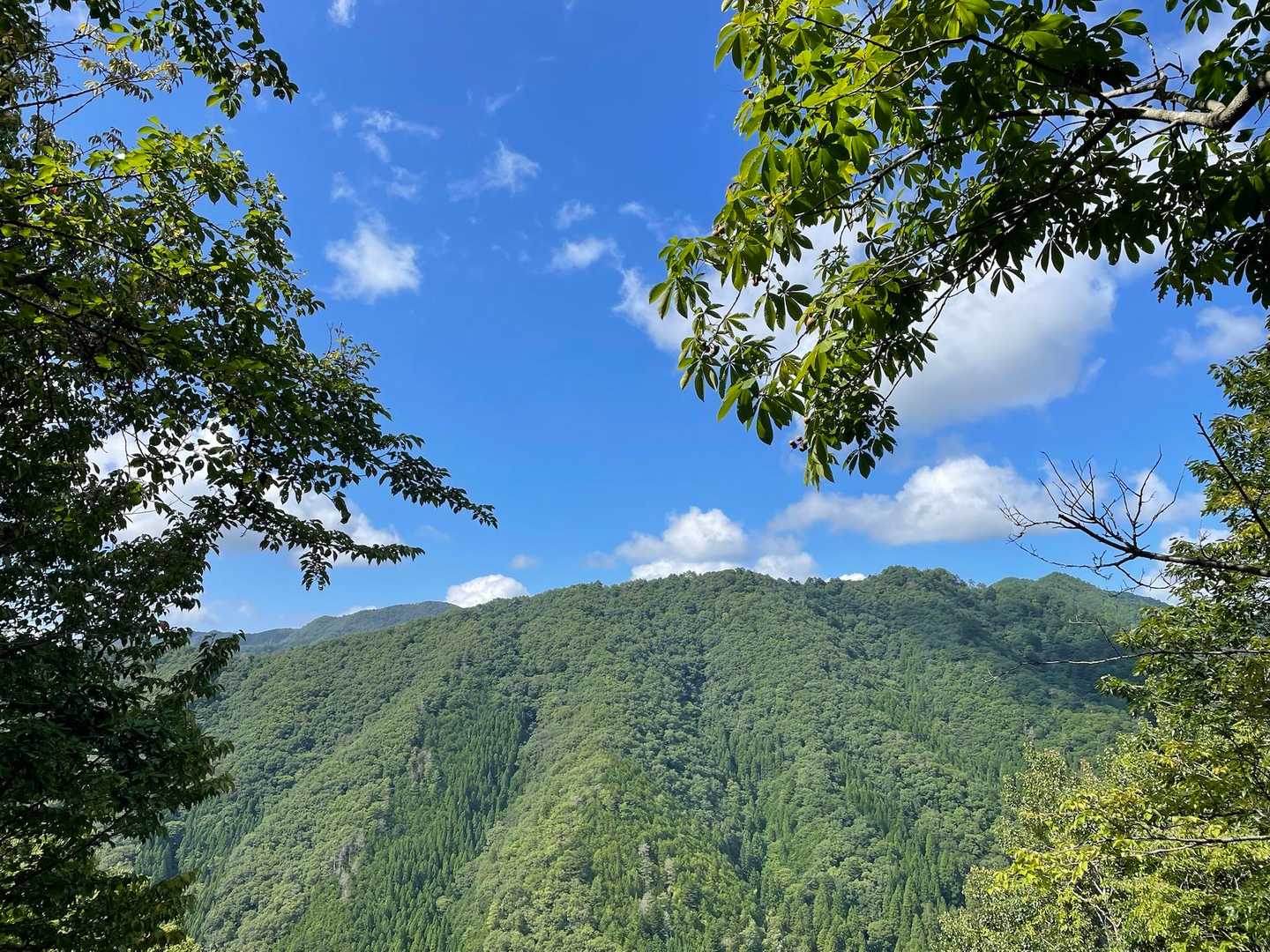 この辺りは山深くて沢山の山が連なってあります🏞️