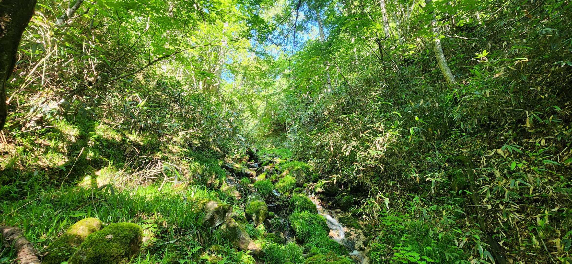 登りがキツイ😵