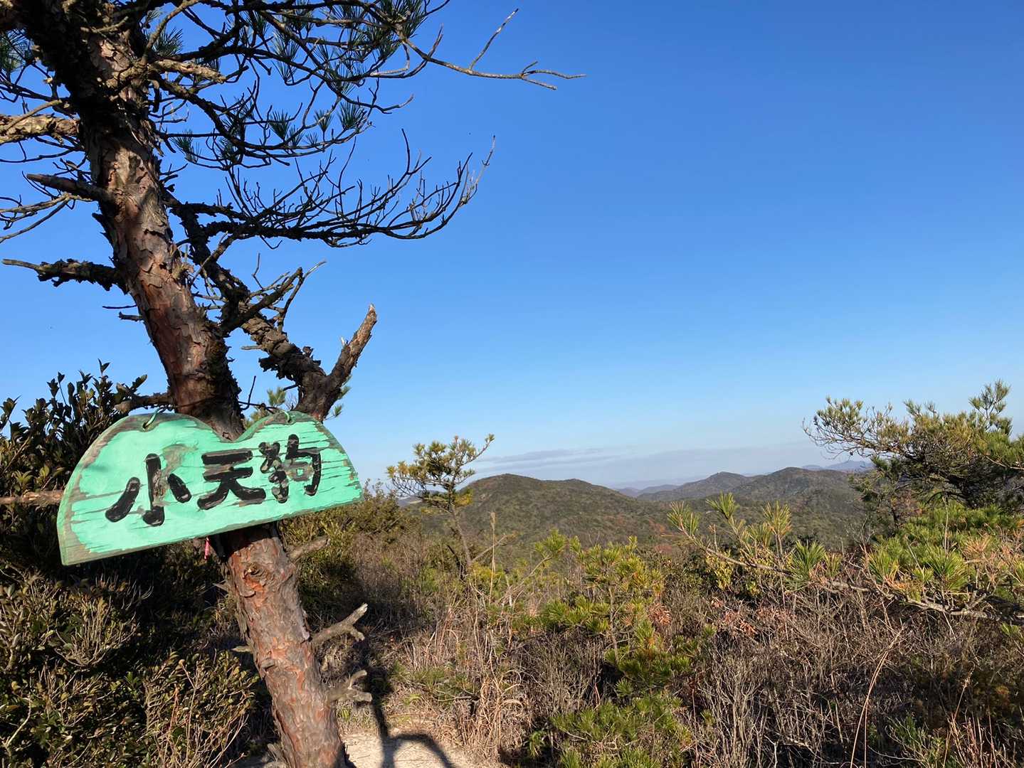 あと少し　　ここでヤッホーの返事あり　😮‍💨