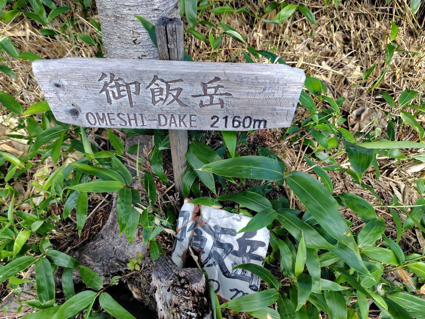 御飯岳山頂