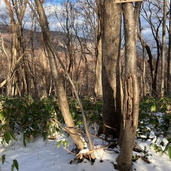 ２５１峰、ベンチもあります