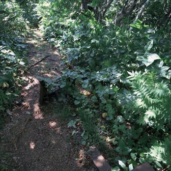小ポン山頂